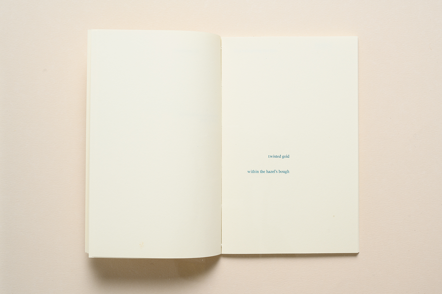 Elfi Seidel, Alphabet Forest, 2022