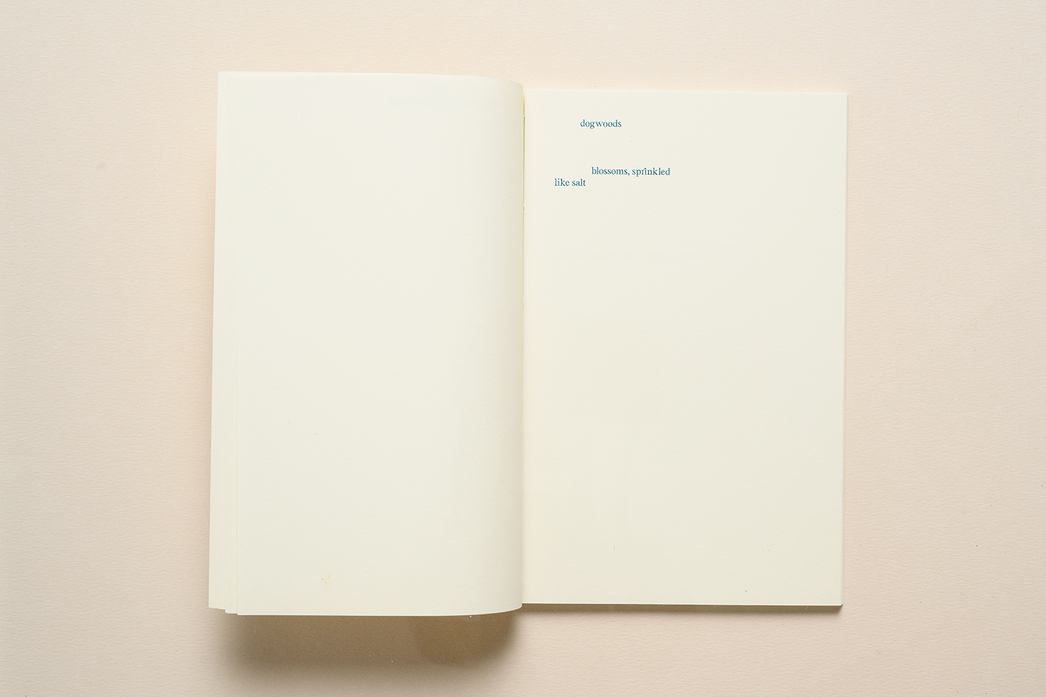 Elfi Seidel, Alphabet Forest, 2022